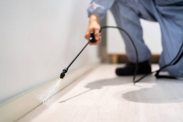 Licensed Rodent Control service in Bernice, LA - Nex Pest Control
