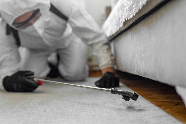 Professional Rodent Control technician working in Bernice, LA