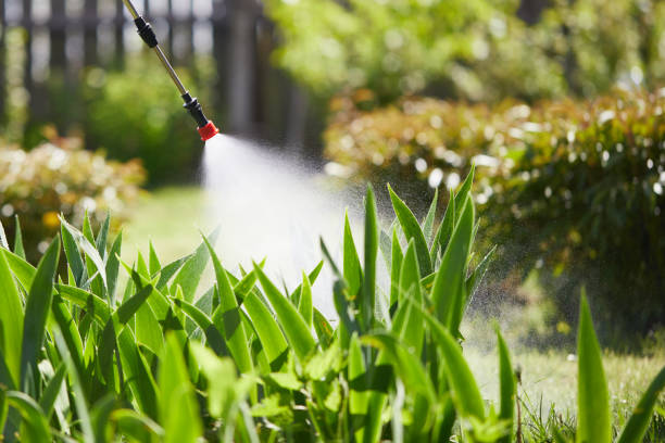 24/7 Emergency Rodent Control experts in Bernice, LA