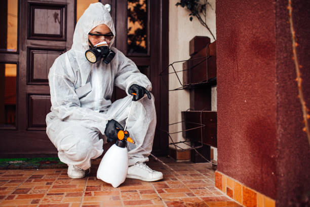 Reliable Rodent Control contractor in Bernice, LA by Nex Pest Control
